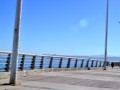 Paisajismo Urbano